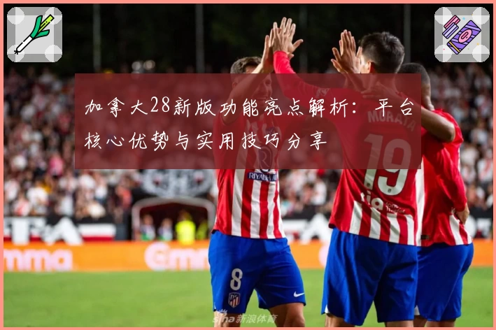 加拿大28新版功能亮点解析：平台核心优势与实用技巧分享