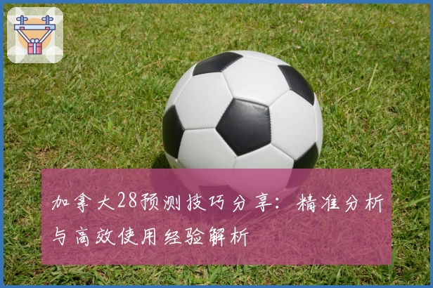 加拿大28预测技巧分享：精准分析与高效使用经验解析