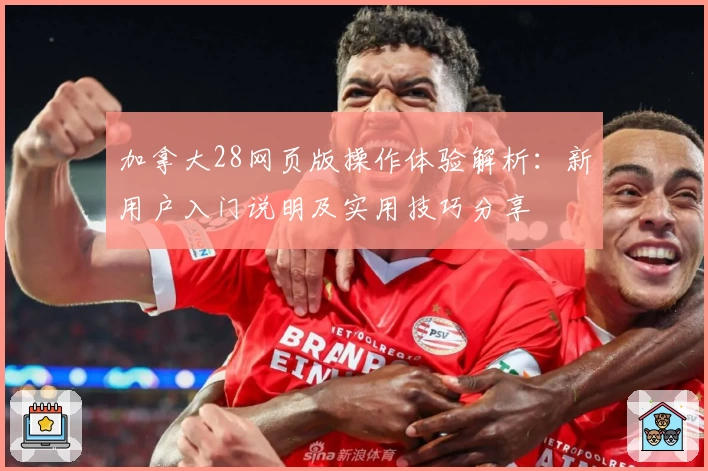 加拿大28网页版操作体验解析：新用户入门说明及实用技巧分享