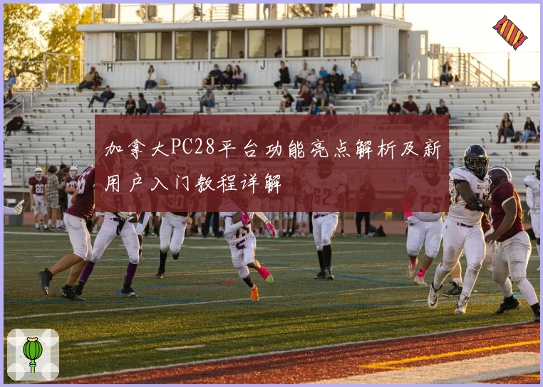 加拿大PC28平台功能亮点解析及新用户入门教程详解