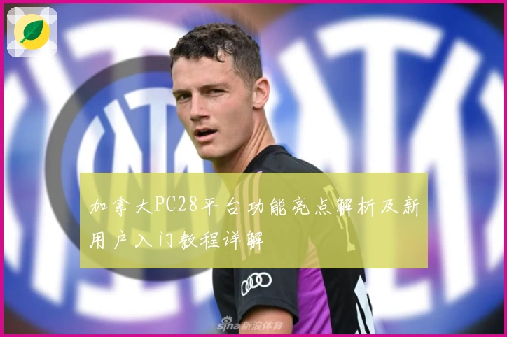 加拿大PC28平台功能亮点解析及新用户入门教程详解