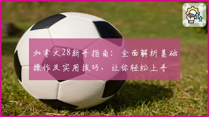 加拿大28新手指南：全面解析基础操作及实用技巧，让你轻松上手