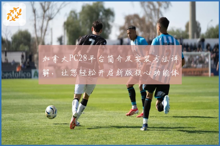 加拿大PC28平台简介及安装方法详解，让您轻松开启新版核心功能体验