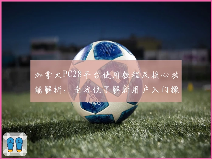 加拿大PC28平台使用教程及核心功能解析，全方位了解新用户入门操作方法