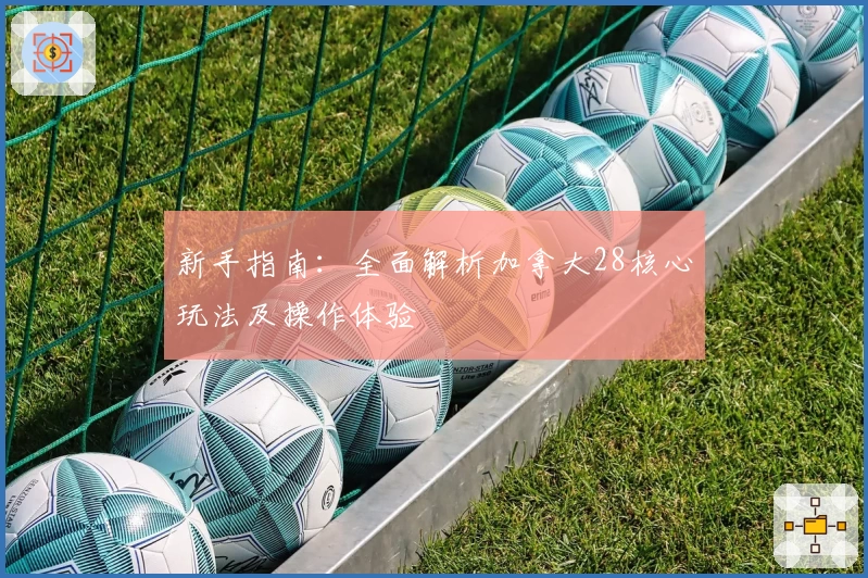 新手指南：全面解析加拿大28核心玩法及操作体验