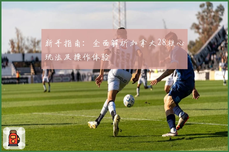 新手指南：全面解析加拿大28核心玩法及操作体验