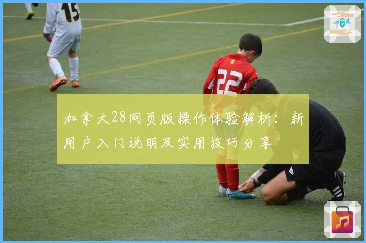 加拿大28网页版操作体验解析：新用户入门说明及实用技巧分享