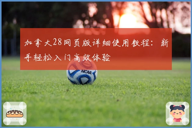 加拿大28网页版详细使用教程：新手轻松入门高效体验