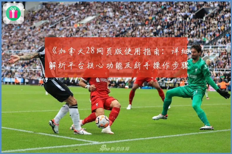 《加拿大28网页版使用指南：详细解析平台核心功能及新手操作步骤》