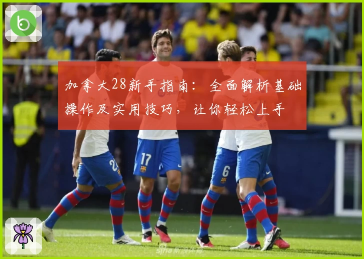 加拿大28新手指南：全面解析基础操作及实用技巧，让你轻松上手